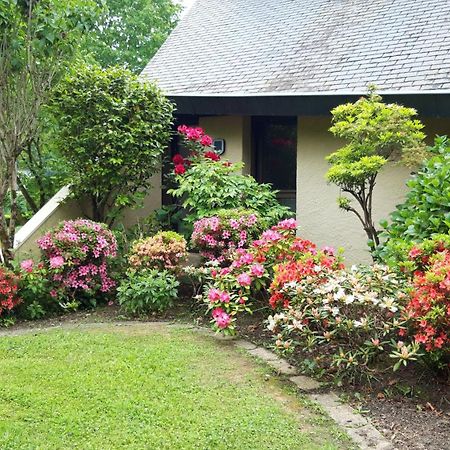 Jardin Des Chats Sevignacq-Meyracq Экстерьер фото
